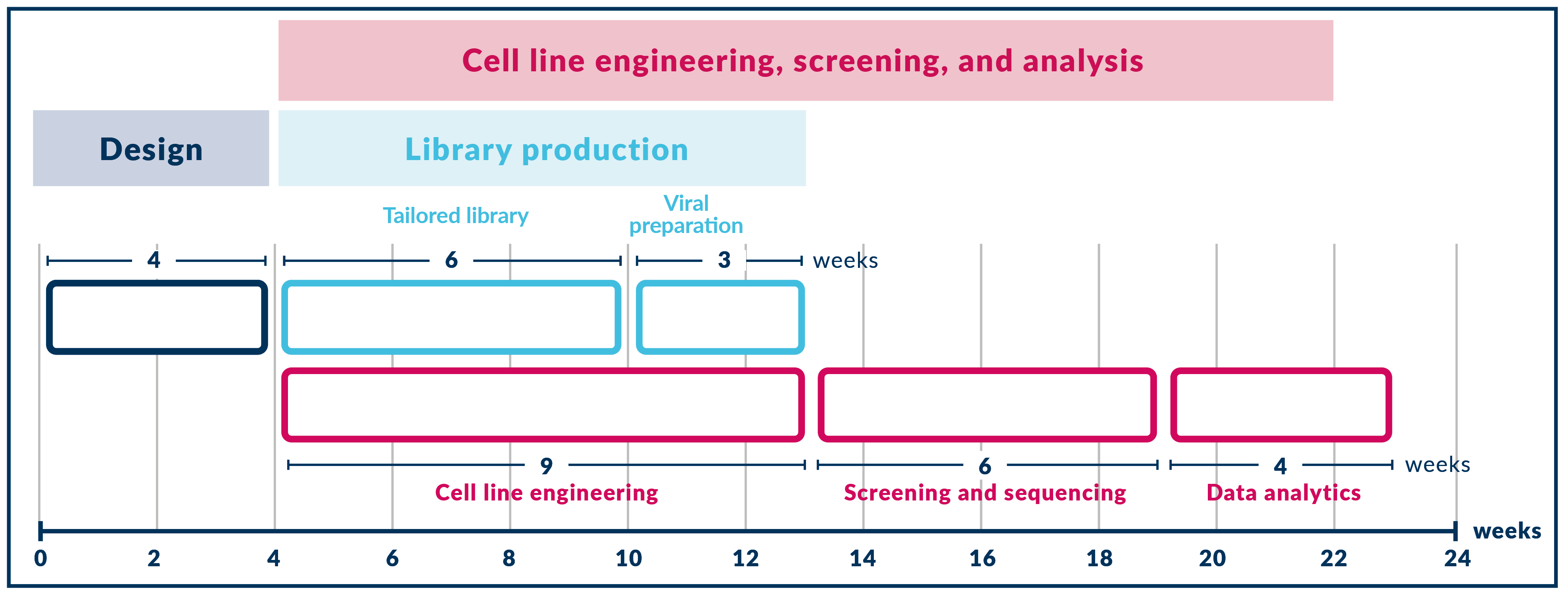 Vivlion - timeline