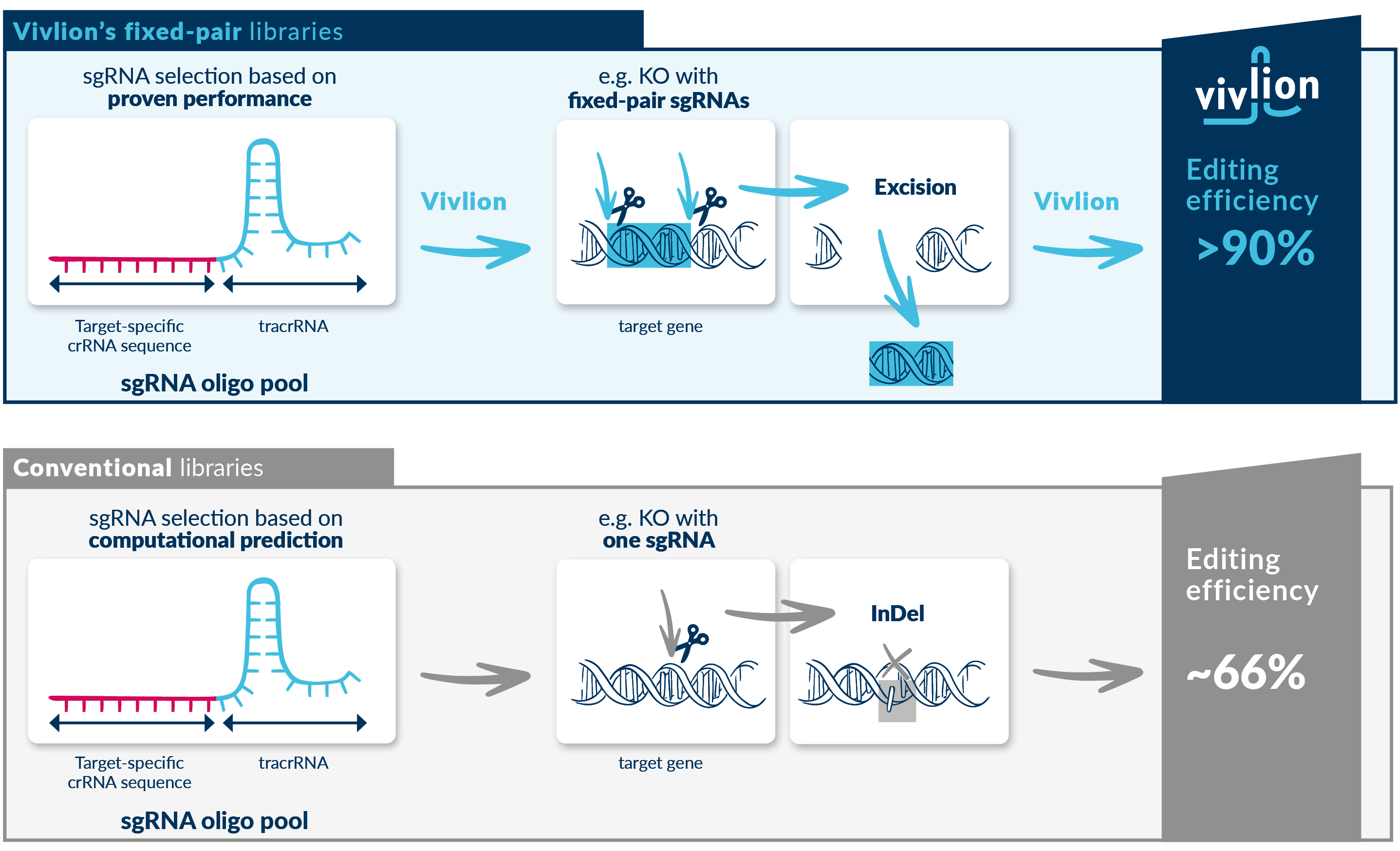 Vivlion's fixed-pair libraries vs. conventional libraries